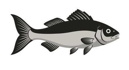 Detailed realistic black and white fish aquatic animal underwater marine life ocean wildlife swimming vector