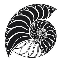 Obraz premium Black abstract nautilus shell spiral graphic black and white 1
