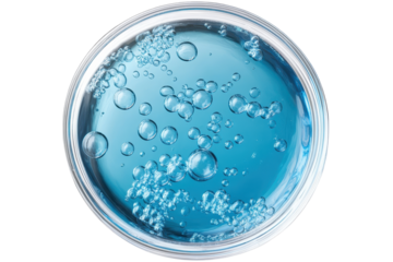 Close up view of a petri dish filled with blue liquid and bubbles showcasing scientific activity in a laboratory setting