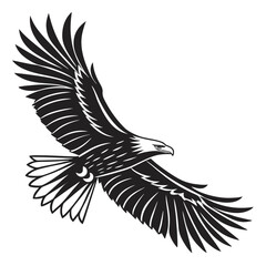 Black eagle in flight on white background bird flying