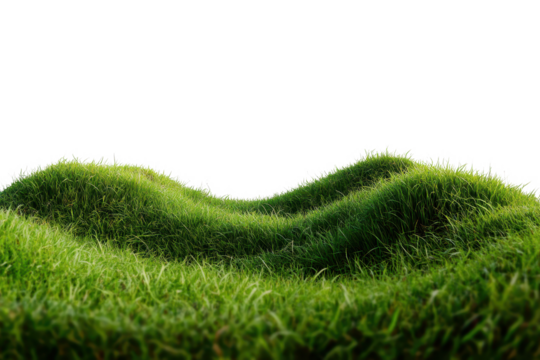 Lush green grass waves create a serene landscape that evokes peace and tranquility in nature's beauty