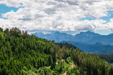 Expansive view across the rolling hills of a dense, lush green pine forest leading towards the layered blue mountain ranges of the Austrian Alps on a bright, partly cloudy summer day in Carinthia.