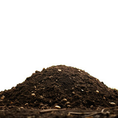 A mound of dark brown soil with small rocks and debris against a solid black background studio shot