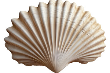 Stylized seashell art deco element in neutral tones adds elegant decor to spaces showcasing coastal influences and vintage charm