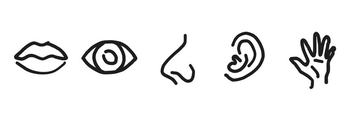 transparent Five human senses editable stroke outline icons set isolated on white background flat vector illustration. 