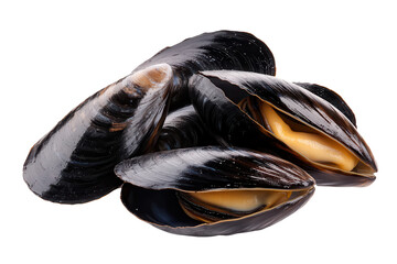 Fresh black mussels isolated on a transparent background, showcasing their rich color and gleaming shells, perfect for seafood dishes and culinary presentations