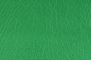 Obraz premium Green pattern, design, leather fabric for sewing, dermantine, artificial leather texture background