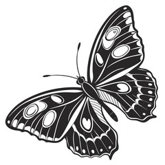 Black butterfly with white spots and symmetrical wings