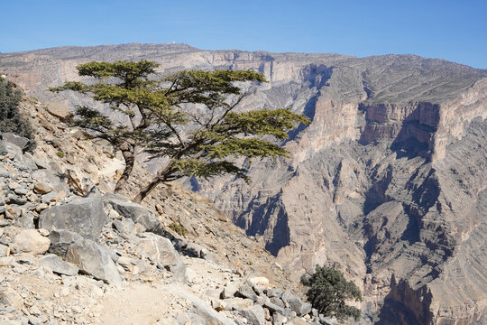 Jebel Shams Balcony Walk, popular adventure hiking trail in deep canyon in Oman