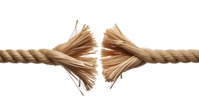 Closeup of a frayed rope about to break isolated on white background, symbolizing stress, tension, or fragility
