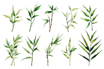 Fototapeta premium Soft watercolor bamboo collection featuring a variety of green hues and delicate shapes perfect for nature-themed art and decor