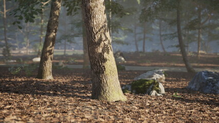 A tranquil forest scene captures sunlight filtering through trees on the forest floor covered with brown leaves. Rocks peek through the underbrush, adding to the serene atmosphere.
