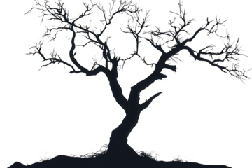 Silhouette of a drought-stricken tree standing alone against a white background in a barren environment showcasing nature's resilience