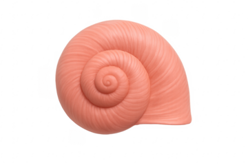 Pink spiral seashell on transparent background