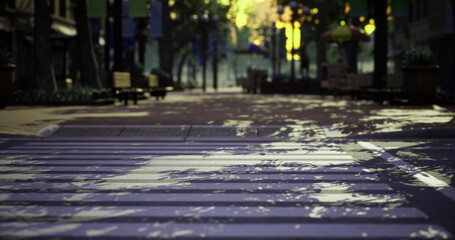 Sunlight filters through trees, casting playful shadows on a deserted urban street. Benches line the sidewalks, creating a peaceful atmosphere.