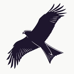Dark silhouette of a kite bird in flight on white bird of prey