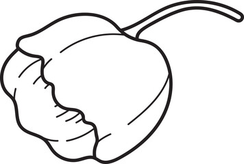 Unopened Tulip Bud Outline Vector. Simple Black and White Line Art Flower Illustration for Coloring Page or Design Element.