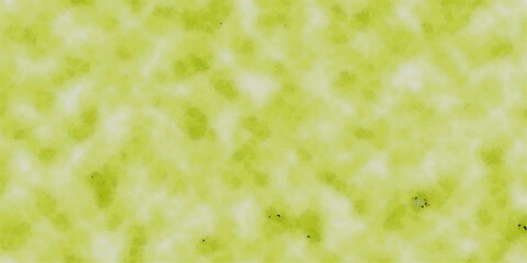green grass background