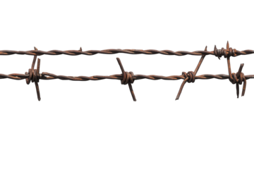 Barbed wire stretches across a transparent background showcasing its sharp and twisted structure, often found in fences or boundaries in rural settings