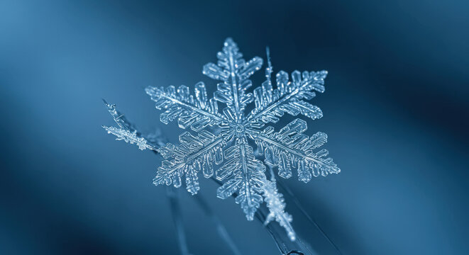 Beautiful Frozen Snowflake with Soft Blue Background - Powered by Adobe