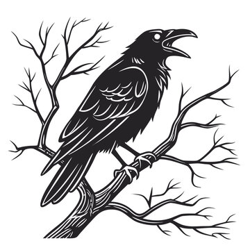 Black crow perched on bare tree branch silhouette raven 2