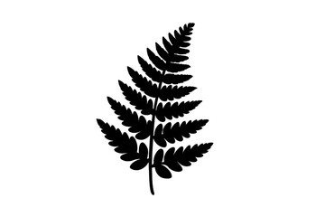 Black fern leaf silhouette on transparent background