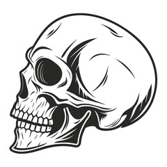 Black skull silhouette with hollow eyes and sharp teeth
