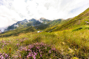Fototapeta premium Paysages de montagne à Veysonnaz, Suisse