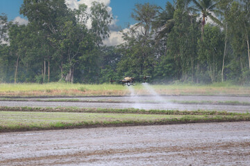 A drone effectively sprays pesticide over a farm field surrounded by lush green trees.