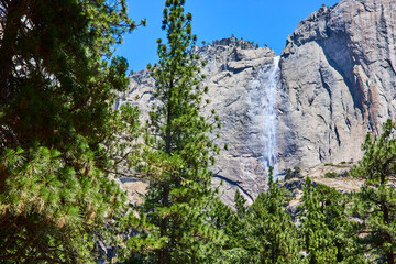 Yosemite Lower Falls and Granite Cliffs with Lush Pine Trees Under Blue Sky