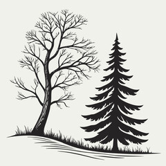 Obraz premium Black silhouette of a bare tree and a pine tree black and white