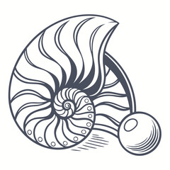 Nautilus shell and pearl graphic outline drawing