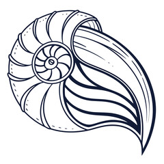 Nautilus shell line art graphic seashell marine life