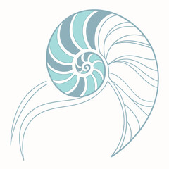 Nautilus shell spiral in pastel blue and gray sea shell