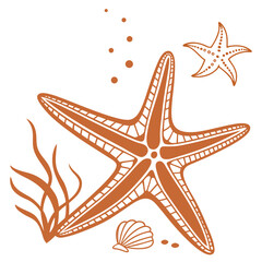 Orange starfish and seashell flat graphic sea star