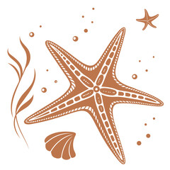Orange starfish and seashell flat graphic seaweed bubbles