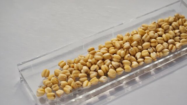 A close-up of golden corn kernels, often used as a healthy snack or ingredient in cooking.