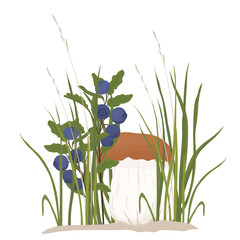 cep, porcini, steinpilz, edible mushroom  vector stock illustration.  boletus edulis, vegnism, forest floor. Isolated on a white background.