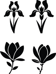 Elegant floral silhouettes set iris and magnolia flowers for decorative design