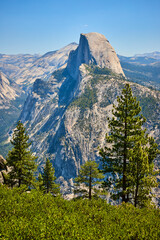 Half Dome Granite Formation and Pine Trees from Glacier Point in Yosemite National Park