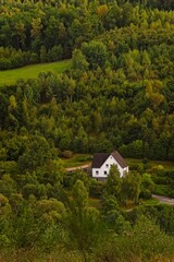 Small House in a Forest Valley