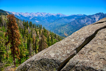 Moro Rock Granite Outcrop Sequoia Forest and Sierra Nevada Mountains California
