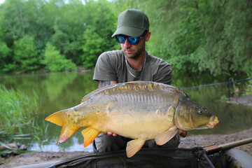 A huge carp caught in a river in Europe.