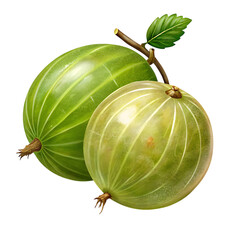 Two vibrant green gooseberries, one slightly larger than the other, attached to a thin stem with a small leaf, isolated on transparent background