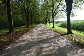 Park walking path