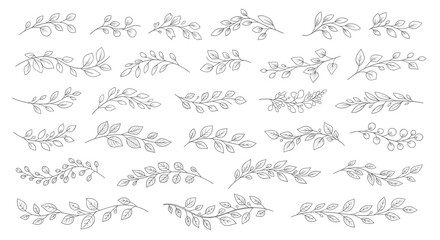 Hand drawn botanical foliage vector illustration set for wedding invitation and decoration with leaves 100