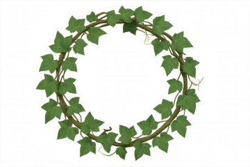 Lush ivy vine forming a green circular wreath, adding a natural organic frame element, transparent background