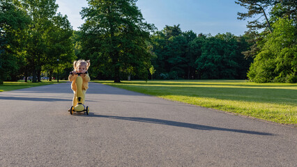 Toddler on scooter. Yellow scooter ride girl. Child park activity summer.