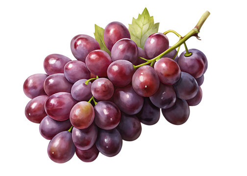 A ripe bunch of red grapes with green leaves, isolated on transparent background, showcasing the natural beauty and freshness of the fruit - Powered by Adobe