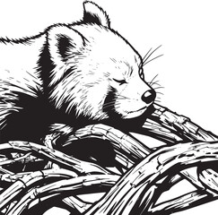 closeup-red-panda-dried-branches-zoo-with-blurry-background vector line art